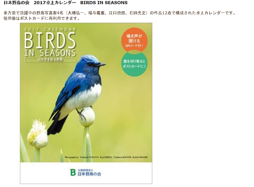 野鳥の会　卓上カレンダー 見て　オリジナルカレンダーに挑戦